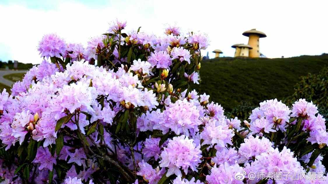 快手业务自助下单平台南京：人工智能助力制造业转型升级进程