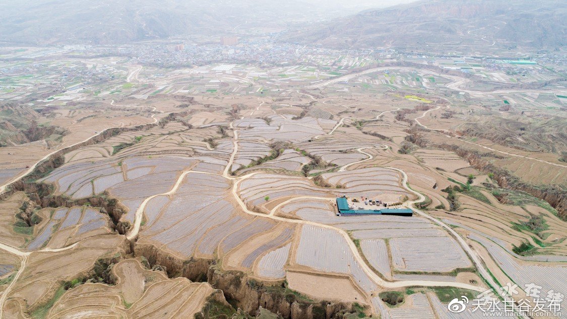 抖音涨赞网址平台：免费内容创意与优化方案获取平台_快手粉丝平台qq自助下单